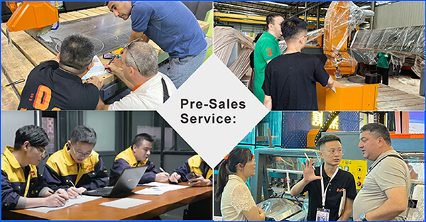 Pre-sales Service: